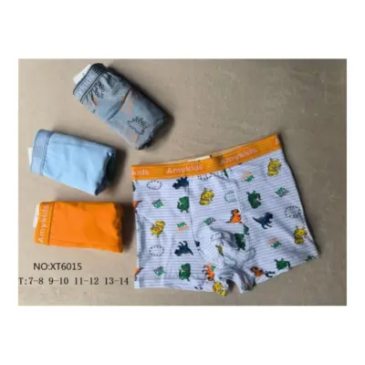 Boxer Niño Xt6015