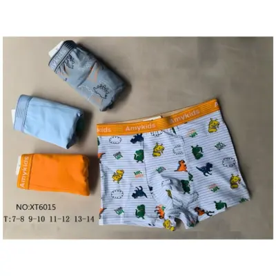 Boxer Niño Xt6015