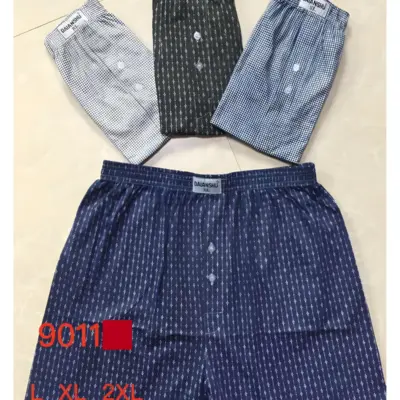 Boxer Daianshu 9011