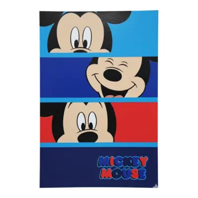 Manta Mickey Blanket-33