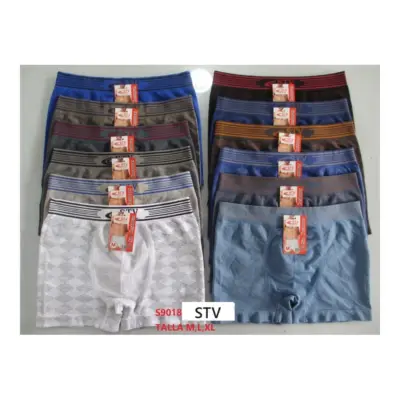 Boxer S9018 Stv