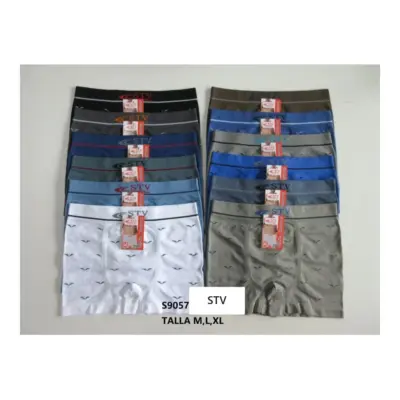 Boxer S9057 Stv