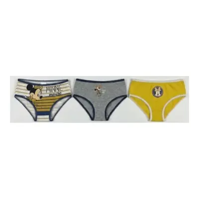Vh8042 Caja 3 Bragas Minnie
