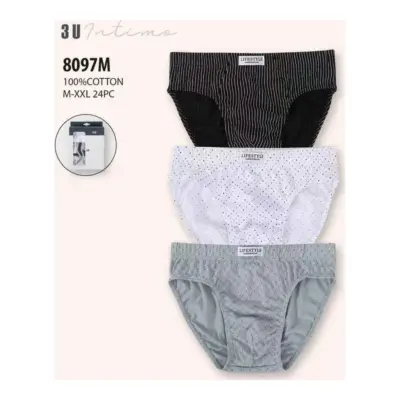 8097W Slip Caja